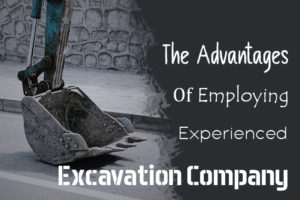 employment experience excavation