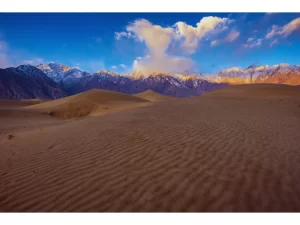 Beautiful desert